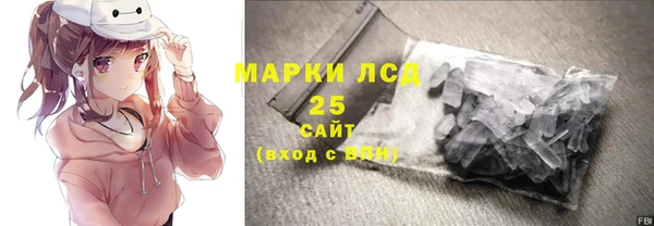 ECSTASY Алзамай