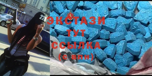ECSTASY Алзамай