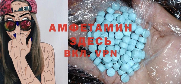 ECSTASY Алзамай