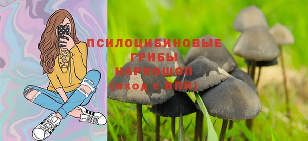 ECSTASY Алзамай