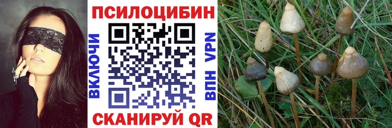 купить  сайты  Сельцо  Псилоцибиновые грибы мухоморы 